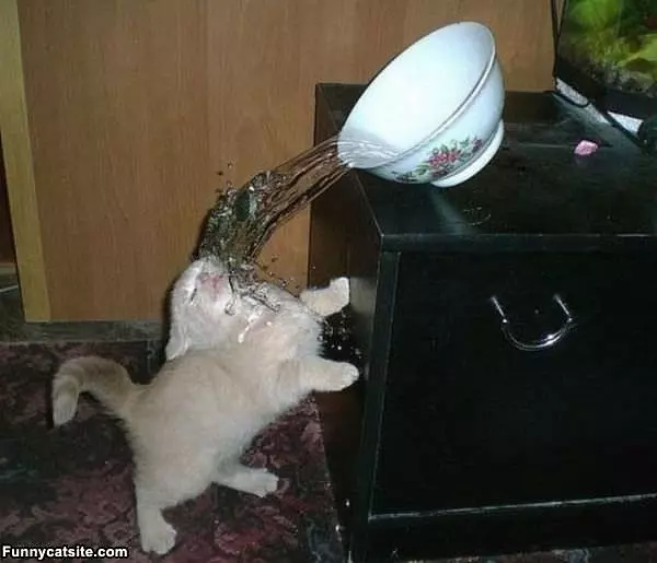 I Made A Big Mistake