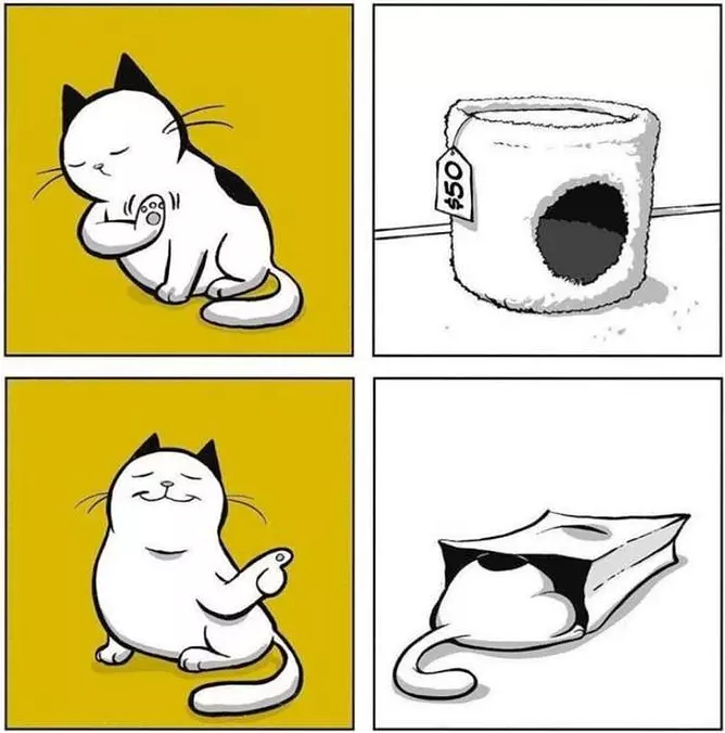 The Toy He Really Wants
