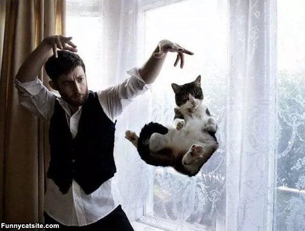The Hover Cat Trick