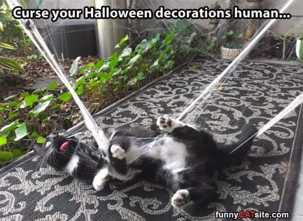 Curse Your Decorations