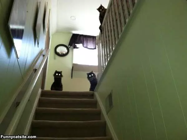We Are Watching You