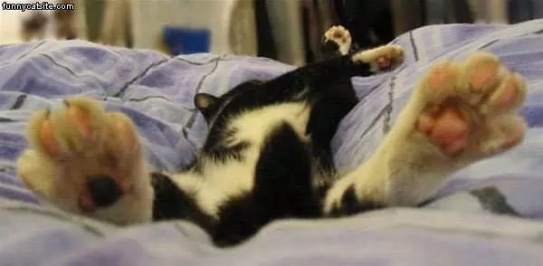 Stretching Out A Bit