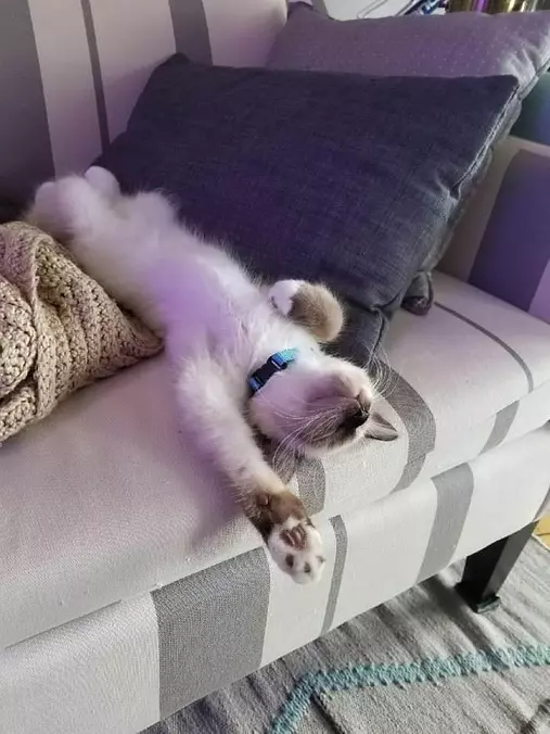 This Is The Best Place To Relax