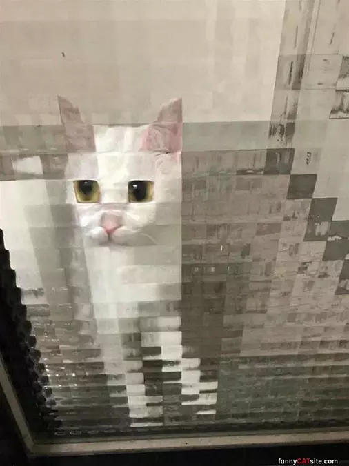 Pixelated