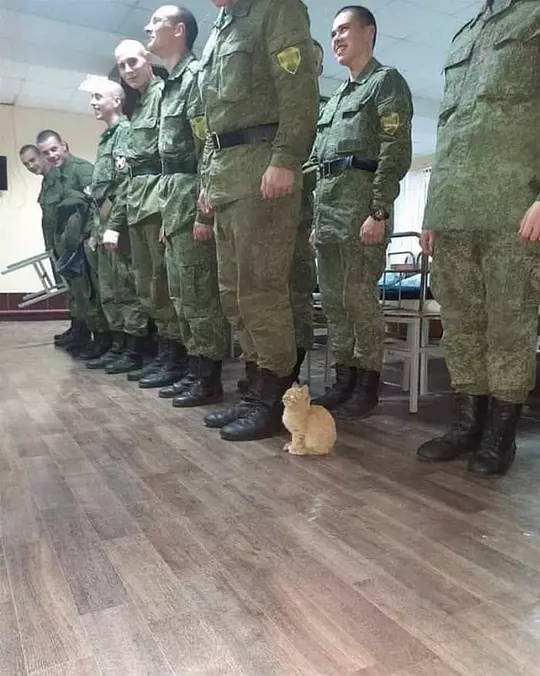 At Attention