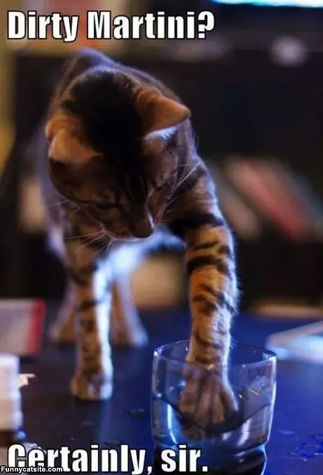 Dirty Martini