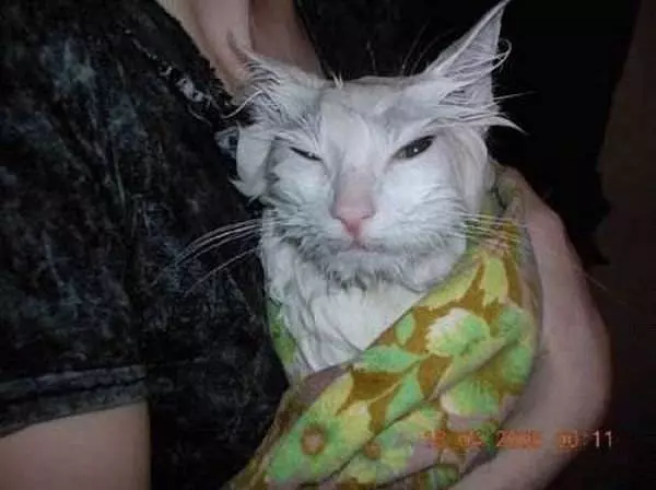 Do Not Want