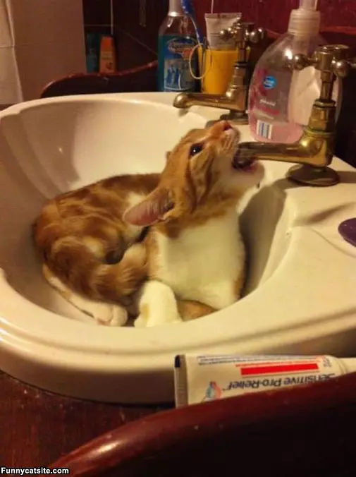 Moaaar Water