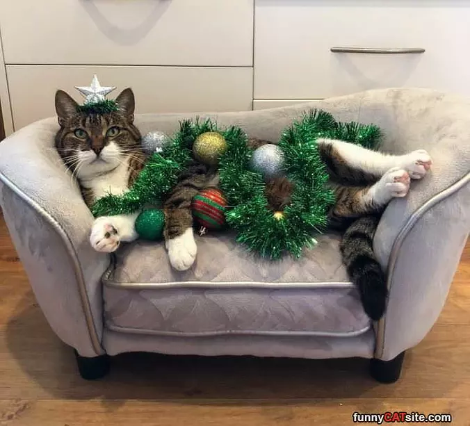 I Am A Decoration Now