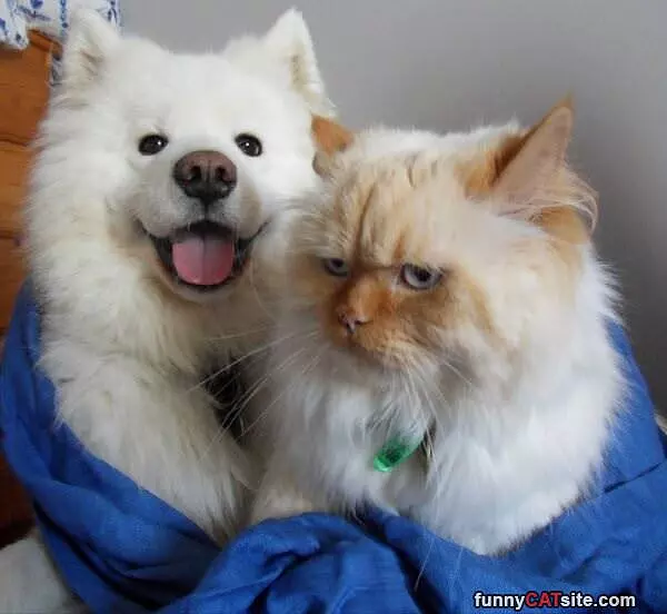 Happy And Grumpy