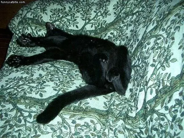 Sleep Like This