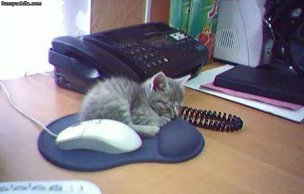 Mouse Pad
