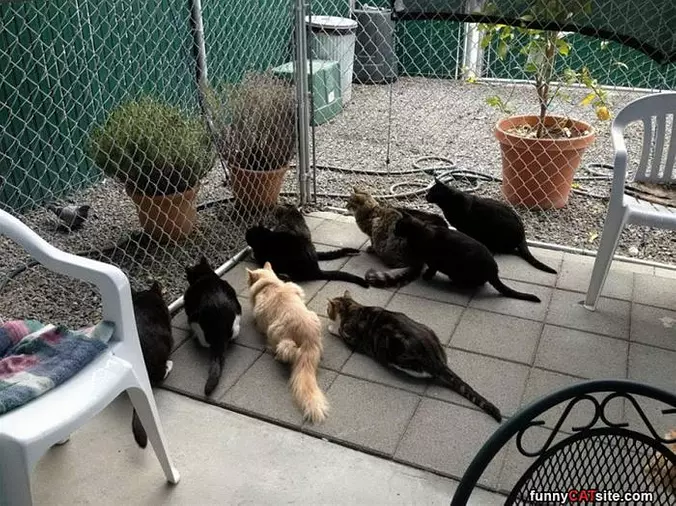 We Are All Watching