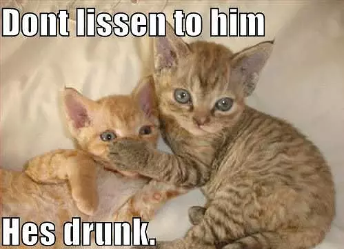 Dont Listen