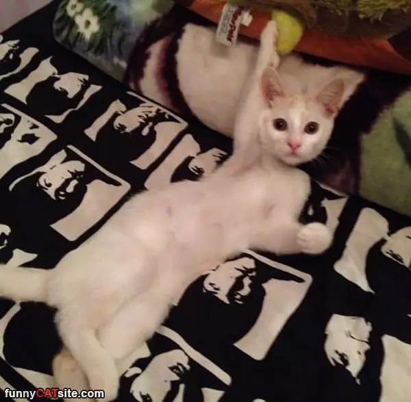 Hands Up