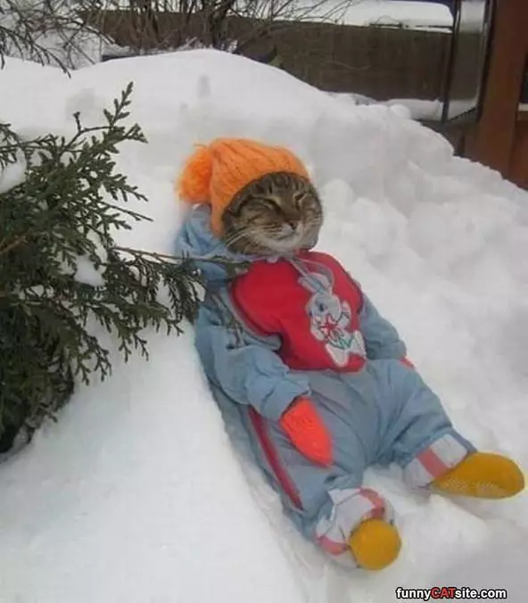 Keeping Warm In The Winter