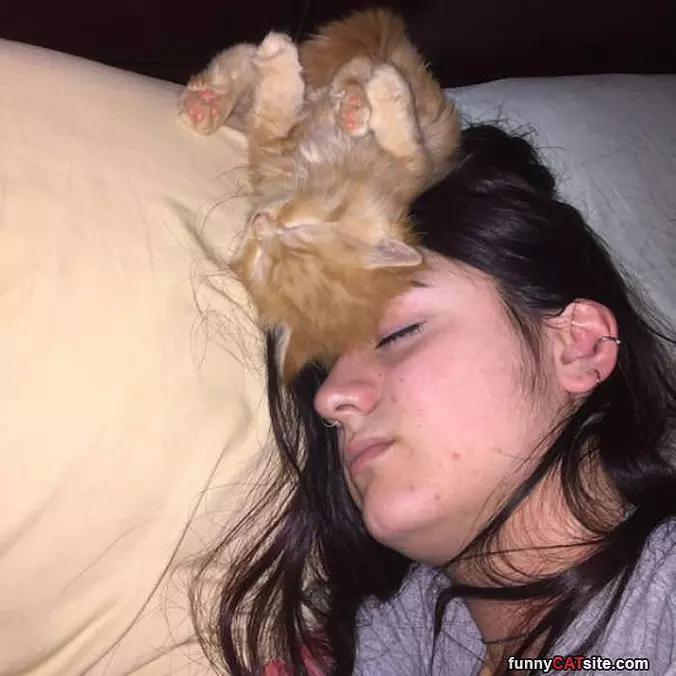 Good Place For A Nap