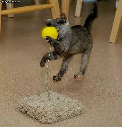 Ball To The Face
