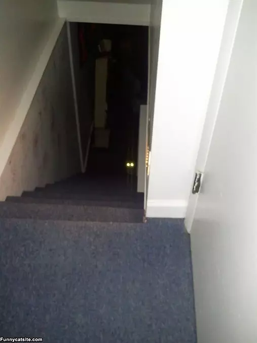 Lasers Fully Charged