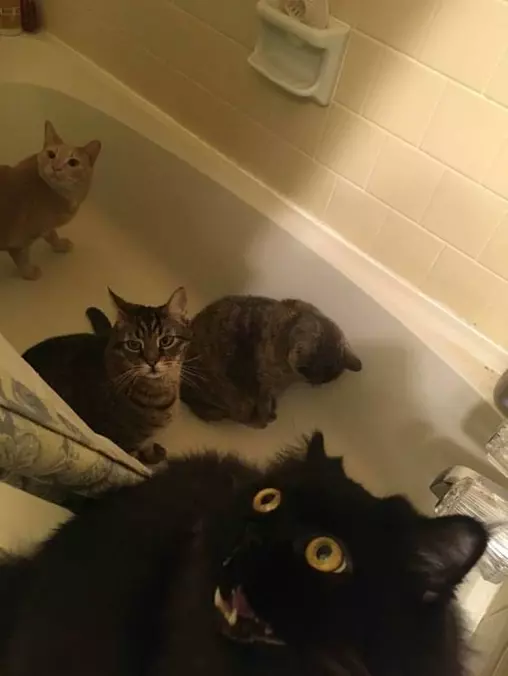 What Is Going On In This Place