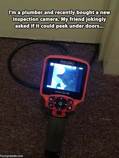 Inspection Camera