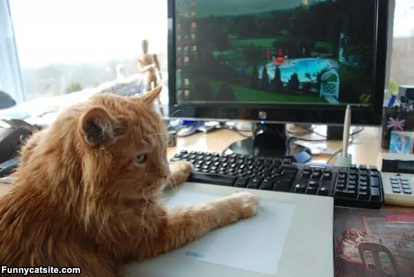 Just Playing Some Games