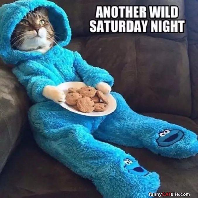 A Wild Saturday Night
