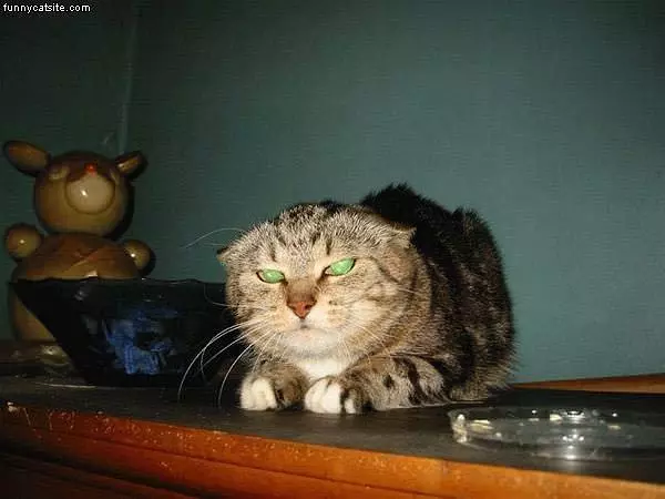 Mad