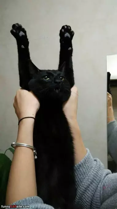 Hands Up