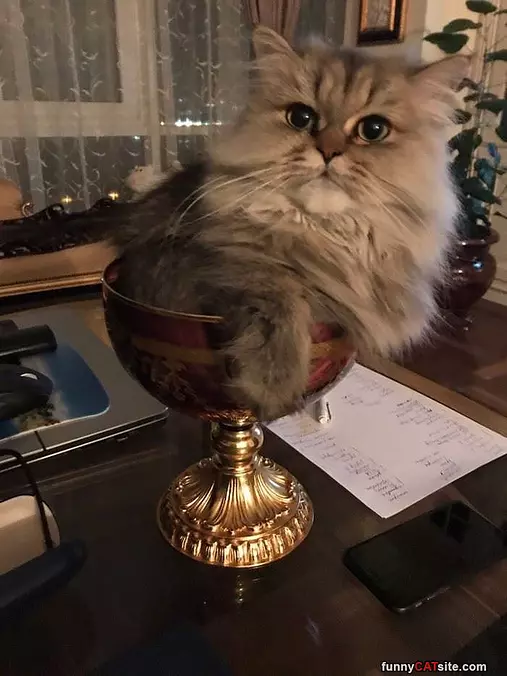 I Will Sleep Here Thanks
