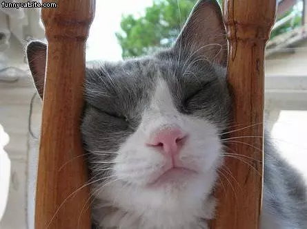 Behind Bars