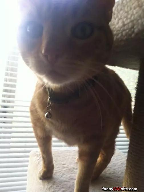 Super Close Up