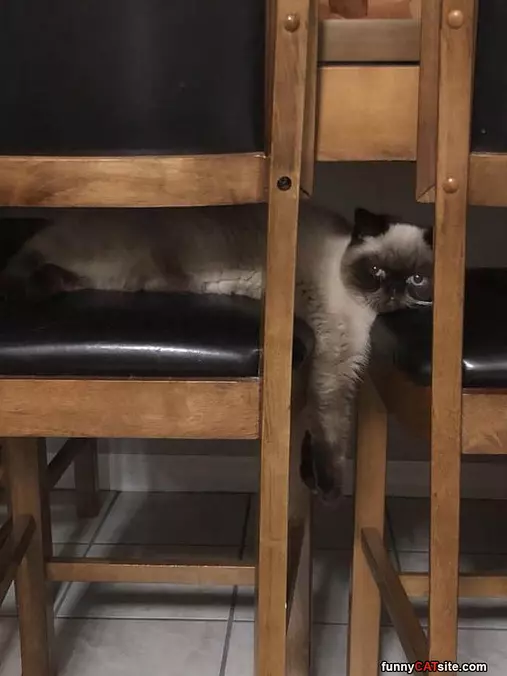 I See You