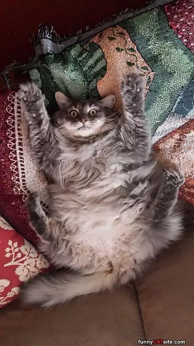 I Is This Big