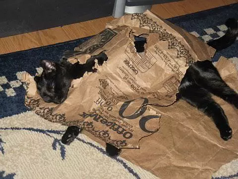 Odie Vs Paper Bag