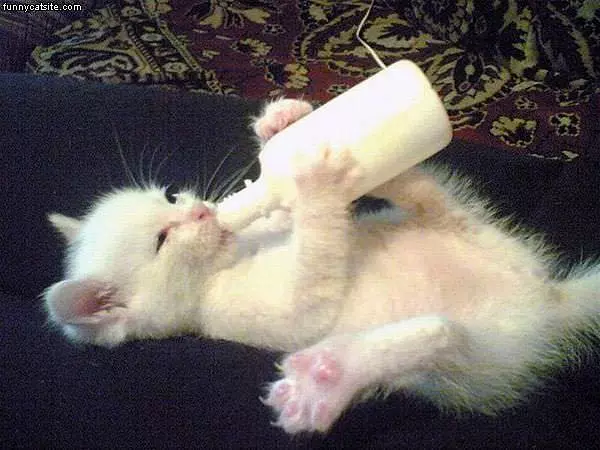 I Luvvvs Milk