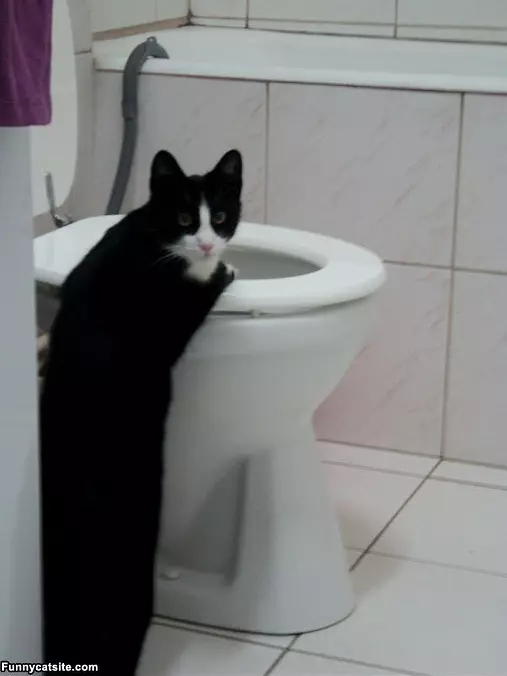 Where Does It Go