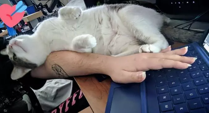 Just Relaxed