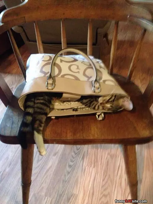 Hanging In A Purse