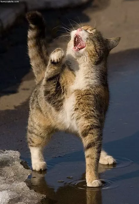 I Haaate Water