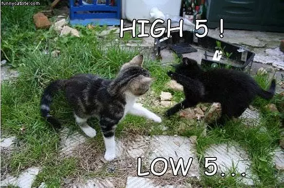 High 5