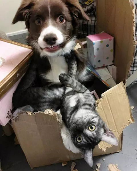 Me And My Buddy