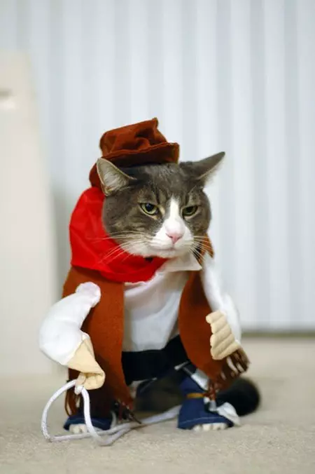All Dressed Up