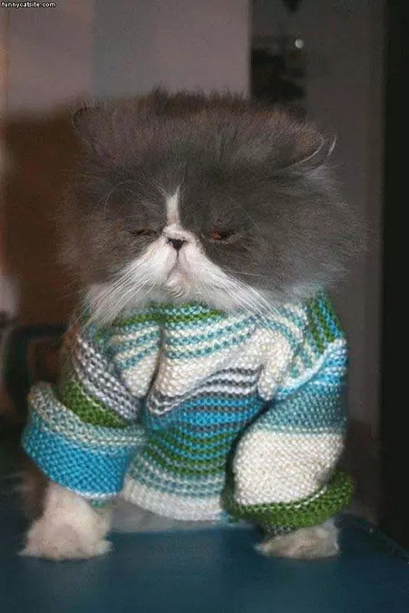 Sweater