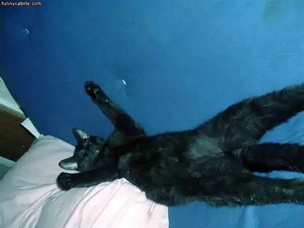 This Is How I Sleep