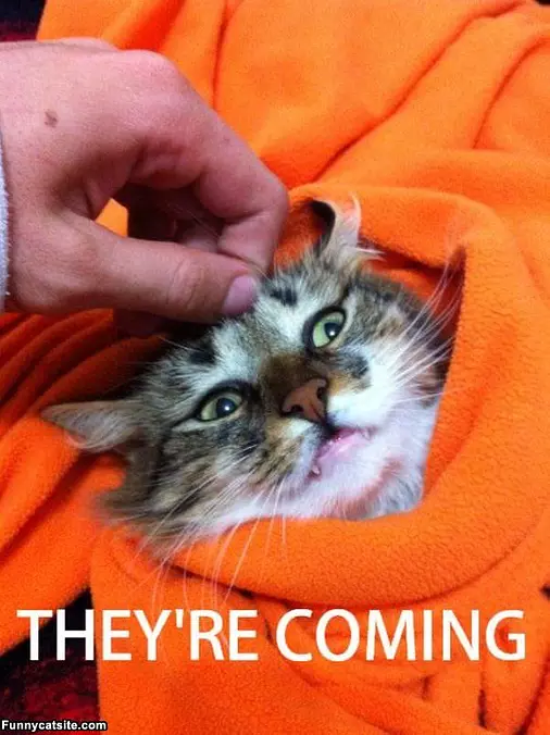 Theyre Coming