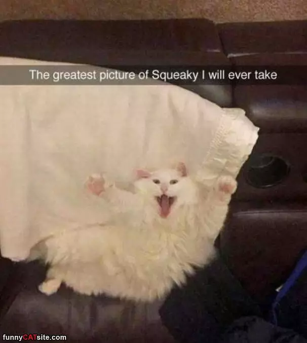 The Greatest Picture
