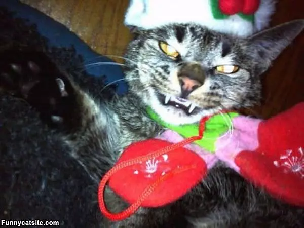 I Loves Xmas