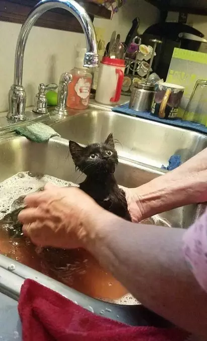 Why You Do This To Me