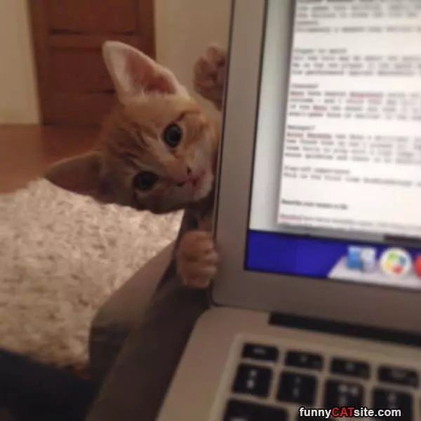 Pssst Can We Play
